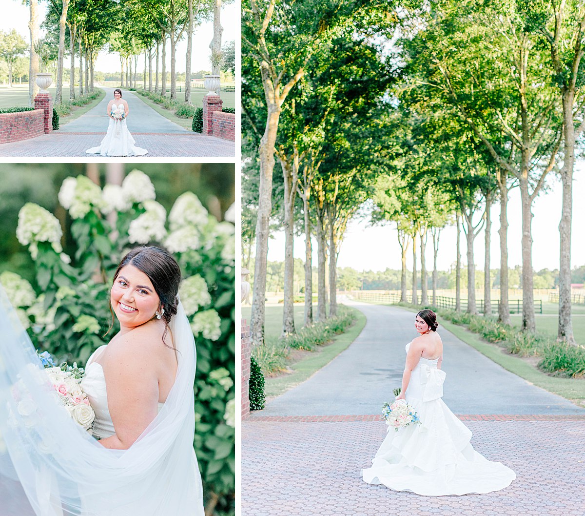 bride in the road at britton manor wedding venue in north carolina featuring a bow on the back of bridal gown